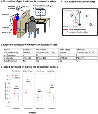 Boost your brain: a simple 100% normobaric oxygen treatment improves human motor learning processes